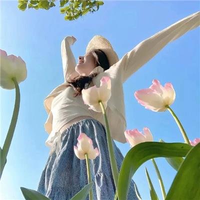 风行四季